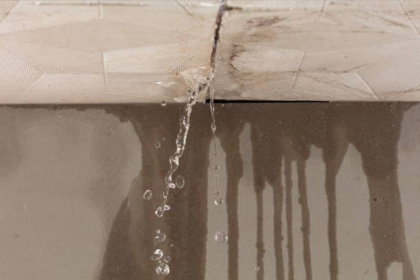 Professional Burst Pipe Cleanup technician working in Connersville, IN